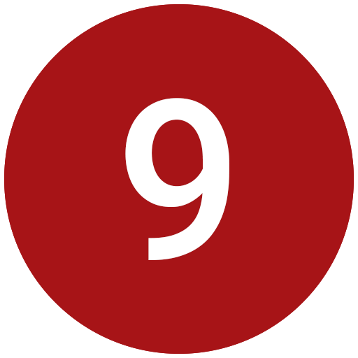Icon 9